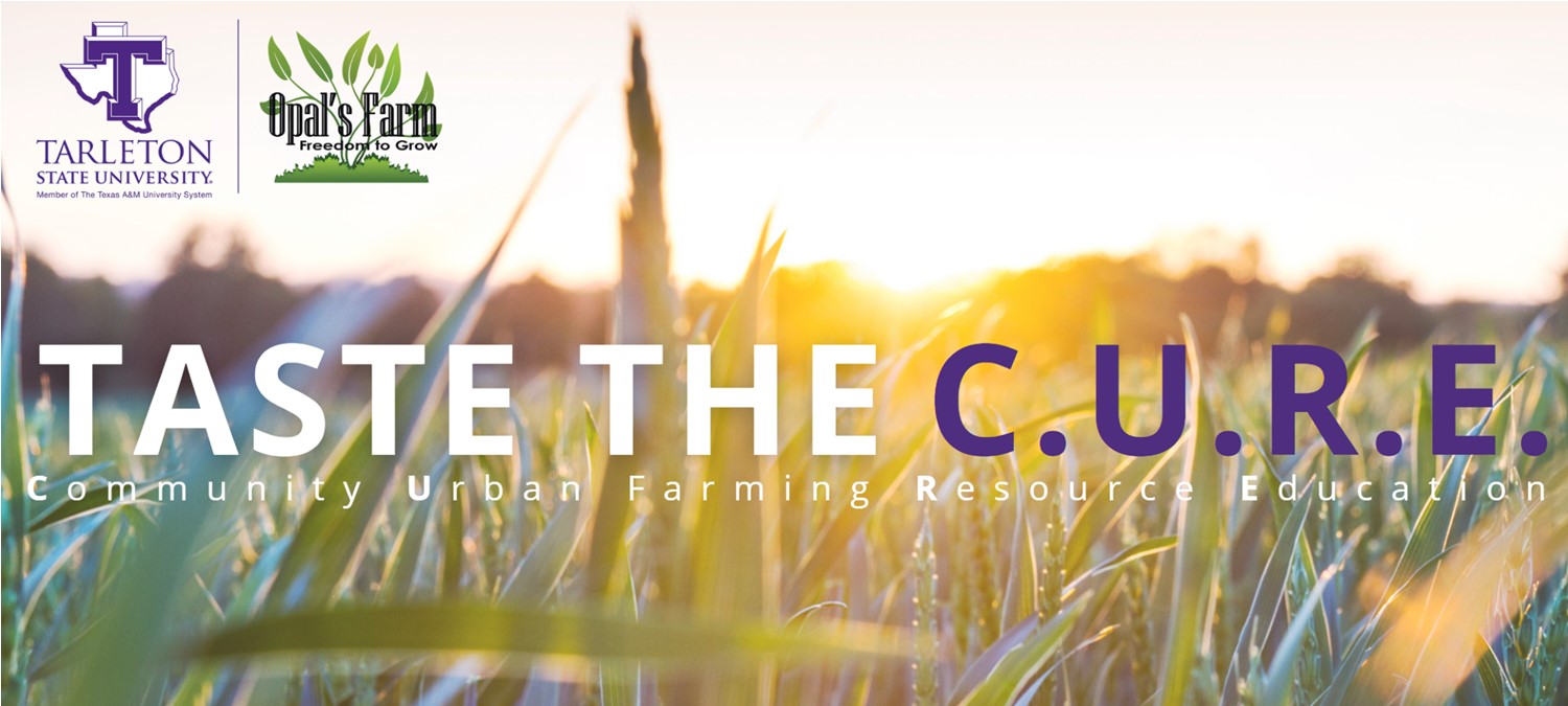 Taste the cure banner